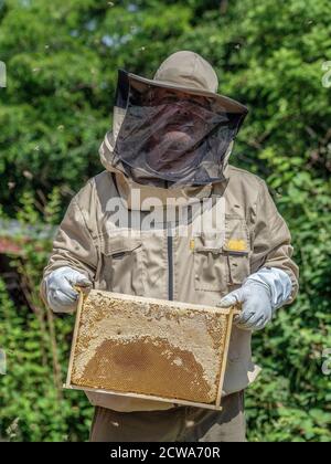 Felpa Con Cappuccio Bee Happy Honeycomb Per Apicoltori | Divertente Regalo Per Chi Ama Le Api | Taglia Unica Per Uomini E Donne