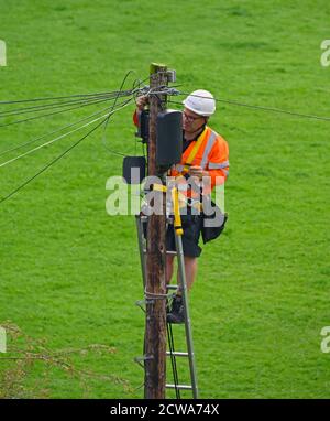 Openreach engineer on ladder at top of wooden pole, working on telecoms equipment. Bowling Fell, Kendal, Cumbria, England, United Kingdom, Europe. Stock Photo