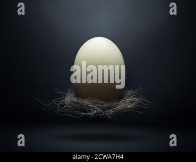 Ostrich egg in a nest floating in the air photographed in studio with a dark moody environment, fine art. Stock Stock Photo
