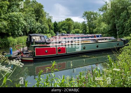 Narrowboats moored at Welford Marina, Grand Union Canal, Northamptonshire, England. Stock Photo