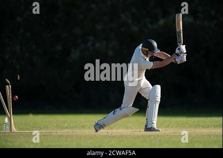 Cricket batsman bowled out. Stock Photo