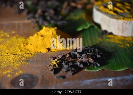 Variety of spices and herbs on kitchen wooden table Stock Photo