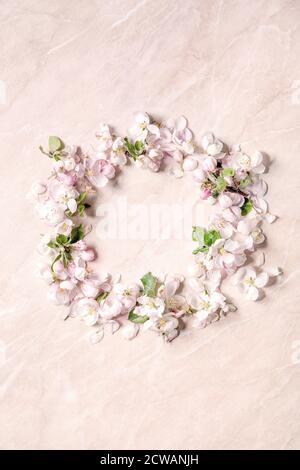 Flat lay of spring apple blooming flowers and petals as circle wreath over pink marble background. Copy space Stock Photo