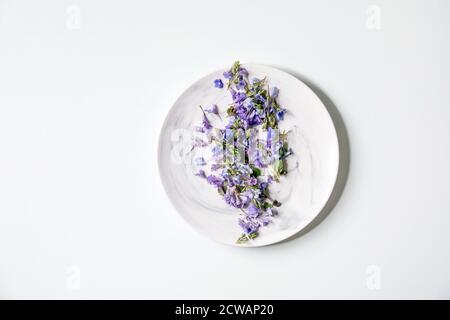 Violet purple edible flowers on white plate over white background. Flat lay, space Stock Photo