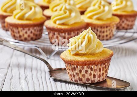 cupcakes with vanilla clotted cream on a cake shovel on a marble table, landscape view from above, close-up, Stock Photo
