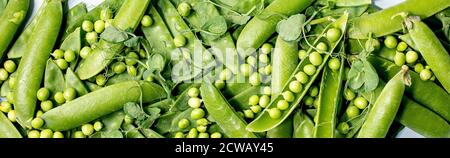 Heap of young sweet organic green pea in pods with sprouts. Flat lay, banner Stock Photo