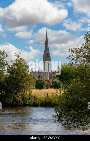 Salisbury Cathedral with the rive Nadder in the foreground. Stock Photo