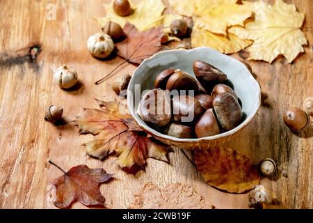 Raw edible chestnuts in ceramic bowl and yellow autumn maple leaves over wooden texture background Stock Photo