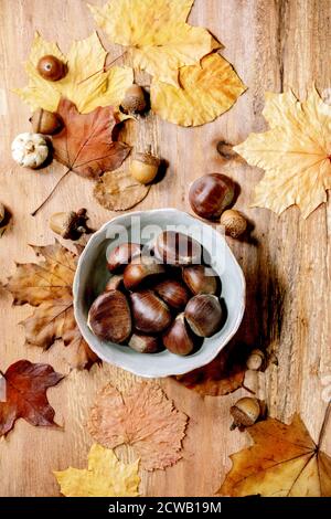 Raw edible chestnuts in ceramic bowl and yellow autumn maple leaves over wooden texture background. Flat lay Stock Photo