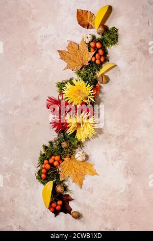 Beautiful Autumn botanical composition creative layout with flowers, moss and yellow autumn leaves over beige concrete background. Flat lay, copy spac Stock Photo
