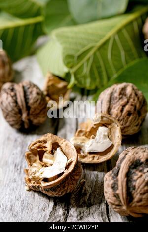 Organic walnuts, whole and broken, with green leaves of walnut tree over old wooden background. Close up Stock Photo