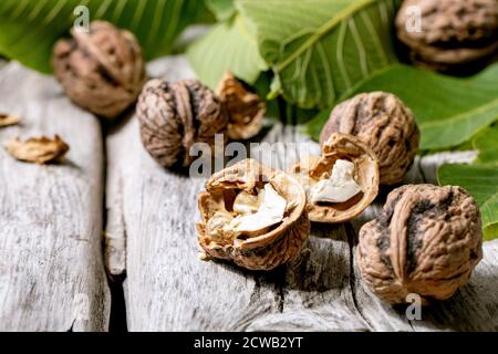 Organic walnuts, whole and broken, with green leaves of walnut tree over old wooden background. Close up Stock Photo