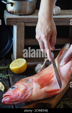 Woman's hands cutting raw fish grouper on wooden cutting board. With sliced lemon, rosemary and saltover old wooden kitchen table. Dark rustic style. Stock Photo