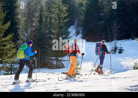 Three travelers, male skier tourists with backpacks hiking on skis in deep snow uphill through mountain forest on sunny cold winter day. Tourism, exploration and active lifestyle concept. Stock Photo