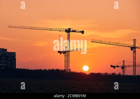 Building activity on contruction site. Silhouettes of cranes against sun. Stock Photo