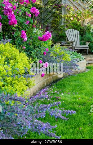 Landscaped, private garden (contemporary design, colourful summer border plants & flowers, patio furniture seating & lawn) - Yorkshire, England, UK. Stock Photo