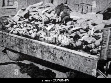 Black and white photograph of World War II (1939-1945) showing the German Concentration Camps at Buchenwald and Struthof; a truck contains dozens of bodies of people executed by the Nazis. Stock Photo
