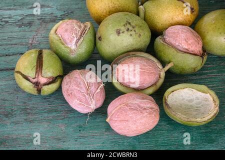 Freshly harvested walnuts in a green husk on a wooden surface. Close up. Stock Photo