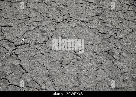 Asphalt road closeup texture Stock Photo