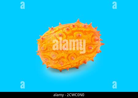 Kiwano or African horned melon isolated on blue background. Hedge pumpkin, English tomato, African horned cucumber. Stock Photo