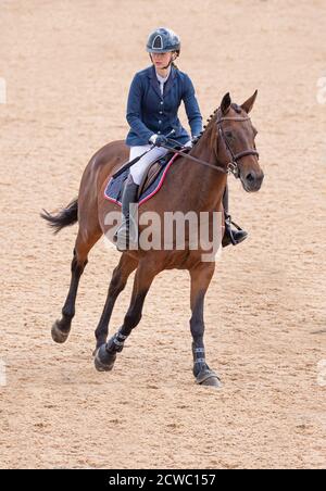 A showjumping horse galloping along with a young equestrian female rider practicing her sport. Stock Photo