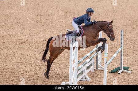 A showjumping horse in an elegant mid-flight position as it soars over a hurdle with a young equestrian female rider practicing her sport. Stock Photo