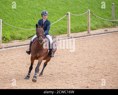 A showjumping horse galloping along with a young equestrian female rider practicing her sport. Stock Photo