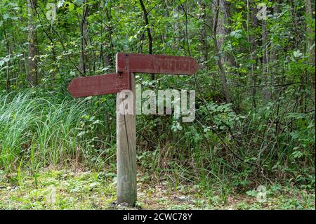 Two arrow rusty brown wooden signs in green forest. Decision making. Stock Photo