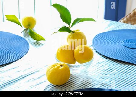 Fresh whole lemons with leaves on the table Stock Photo
