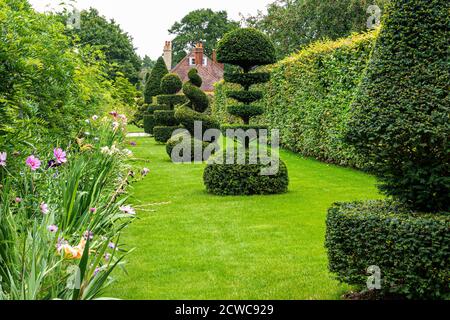 Topiary Avenue Common Yew (taxus baccata) living architecture in a formal garden. Evergreen shrubs & trees into intricate or stylized shapes & forms Stock Photo