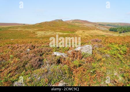 Over gritstone boulders, bracken and heather to a distant misty Carl Wark fort on an autumn day in Derbyshire Stock Photo