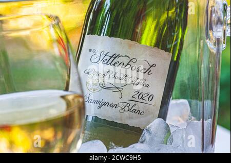 Stellenbosch 2020 South Africa Sauvignon Blanc wine glass bottle and ice bucket in sunny summer alfresco garden situation. Stock Photo