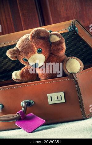 STAYCATION TRAVEL TEDDY BEAR CHILD SUITCASE HOLIDAY Teddy Bear in vintage brown leather suitcase waving on holiday vacation Stock Photo