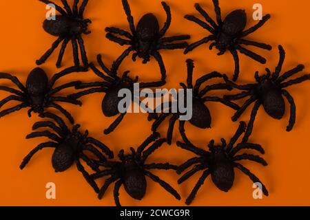 Halloween background with spiders as symbols of Halloween on the orange background. Stock Photo