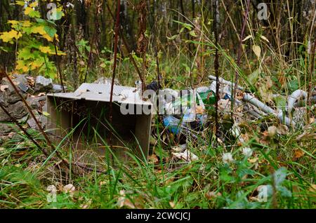 Garbage in the forest. Ecological problem. Plastic, glass, cans. Stock Photo