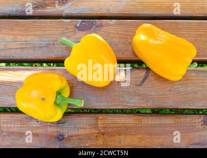 Yellow ripe freshly picked peppers on the wooden bench Stock Photo