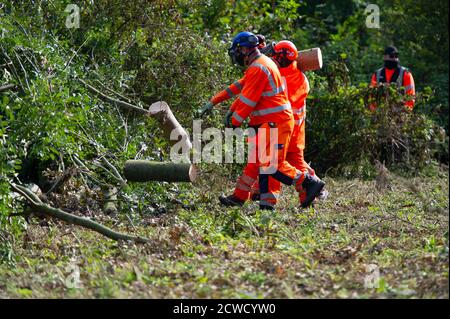 Denham, UK. 29th September, 2020. Ground Control tree cutters toss away the tree trunks that they cut down today for HS2 in the Denham Country Park in an area that HS2 Rebellion tree protectors allege is public and outside the injuncted area that HS2 are permitted to work in. Approximately 28 NET Enforcement Agents and HS2 Security Guards kept the tree protectors back from watching the tree destruction. The HS2  link from London to Birmingham puts 693 wildlife sites,108 ancient woodlands and 33 Sites of Special Scientific Interest at risk. Credit: Maureen McLean/Alamy Live News Stock Photo