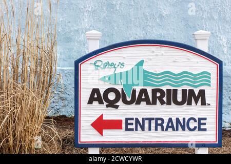 The Ripley's Aquarium is one of the most popular tourist attractions in town and located at the Broadway At The Beach Complex. Stock Photo