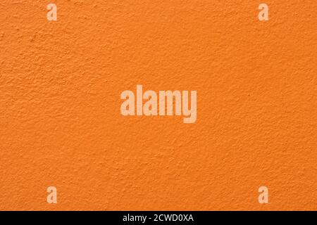 Empty orange cement wall background and texture. Beautiful clean orange concrete wall Advertising Backdrop. Stock Photo