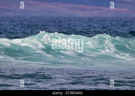 Beautiful aquamarine wave breaking on maui. Stock Photo
