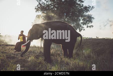 Beautiful thai woman spending time with the elephant in the jungle