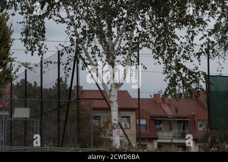 urban greening through tree growth, symbiosis of architecture and nature Stock Photo