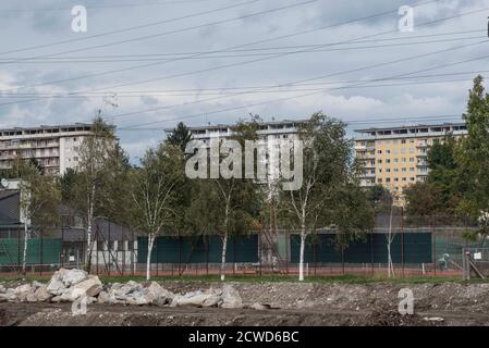 urban greening through tree growth, symbiosis of architecture and nature Stock Photo