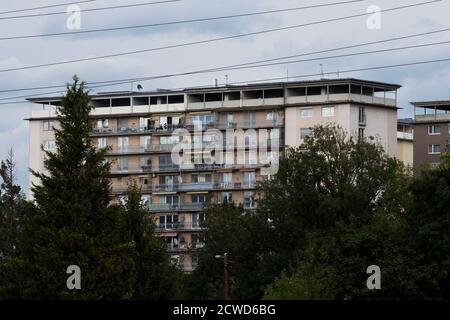 urban greening through tree growth, symbiosis of architecture and nature Stock Photo