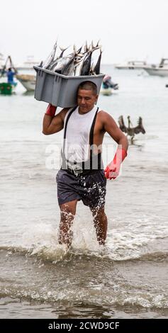 Puerto Lopez, Ecuador - Nov 27, 2012: Man carries bin of fish from boat to scale for sale Stock Photo