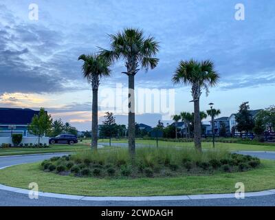 Sunrise with palm trees in a neighborhood in Orlando, Florida. Stock Photo