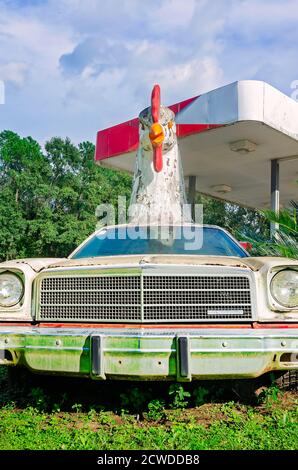 A giant chicken sits atop a 1977 El Camino in front of a Citgo gas station, Sept. 17, 2020, in Irvington, Alabama. The statues attract attention to th Stock Photo