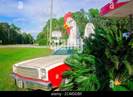 A giant chicken sits atop a 1977 El Camino in front of a Citgo gas station, Sept. 17, 2020, in Irvington, Alabama. The statues attract attention to th Stock Photo