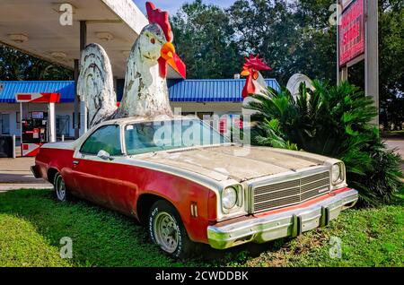 A giant chicken sits atop a 1977 El Camino in front of a Citgo gas station, Sept. 17, 2020, in Irvington, Alabama. The statues attract attention to th Stock Photo