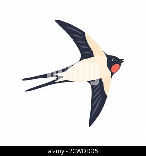 Swallow in flight. Vector illustration Isolated on white background. Stock Vector